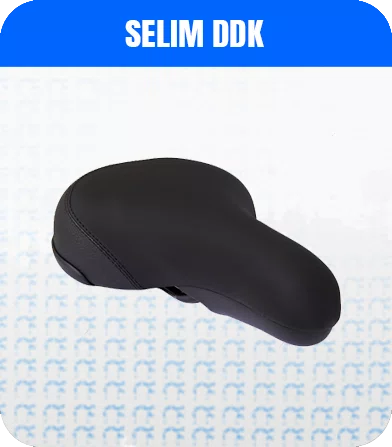 SELINS DDK