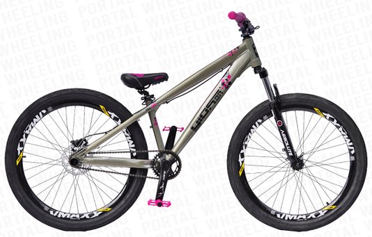 BICICLETA GIOS FRX-EVO ARO 26 - TITÂNIO E ROSA COM FREIO A DISCO HIDRÁULICO SHIMANO
