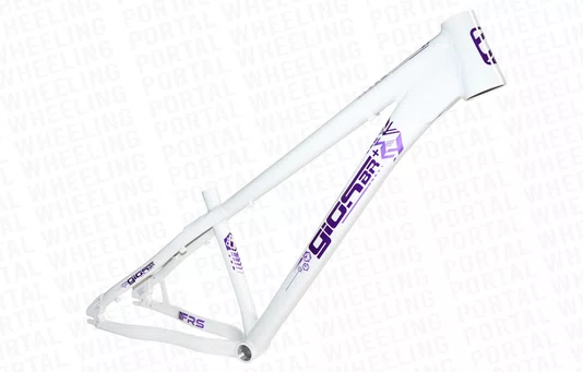QUADRO GIOS FRS - BRANCO COM ROXO (ARO 26)