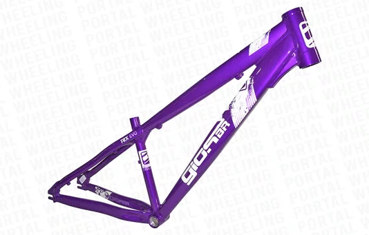 QUADRO GIOS FRX-EVO - ROXO, CINZA E BRANCO (ARO 26)