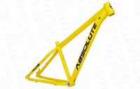 QUADRO ABSOLUTE NERO 5 - AMARELO (ARO 29X15)
