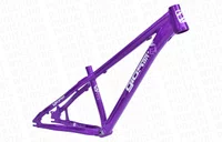 QUADRO GIOS FRS - ROXO E BRANCO (ARO 26)