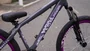 BICICLETA ARO 26 PORTAL WHEELING PERIFA 2.0 - 14,5" - CINZA E ROXO COM FREIO HIDRAÚLICO SHIMANO
