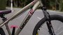 BICICLETA GIOS FRX-EVO ARO 26 - TITÂNIO E ROSA COM FREIO A DISCO HIDRÁULICO SHIMANO