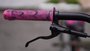 BICICLETA GIOS FRX-EVO ARO 26 - TITÂNIO E ROSA COM FREIO A DISCO HIDRÁULICO SHIMANO
