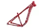 QUADRO HUPI NAJA V9 VERMELHO E PRATA (ARO 26)